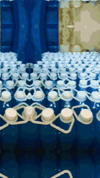 � عرض خاص لأصحاب الجملة فقط 🔥 زاهي درجة أولى ✨ بعطر الطوري الأصلي 🛢 حج...