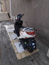 دولفين اكزز • فحل • مكينة شرط