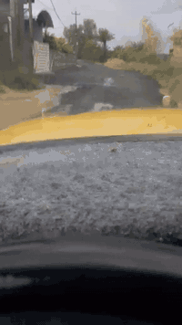 للبيع 
بستان
مساحه (دونم )
السنيه
طريق الزوار 
مزروع 
تين 
رمان 
عنب 
عرموط 
متوفر كافة الخدمات 
يبعد عن الشارع ٢٠٠ متر
للاستفسار مراجعه مكتب السنيه للعقار 
قرب جامع السنيه الكبير
***********
