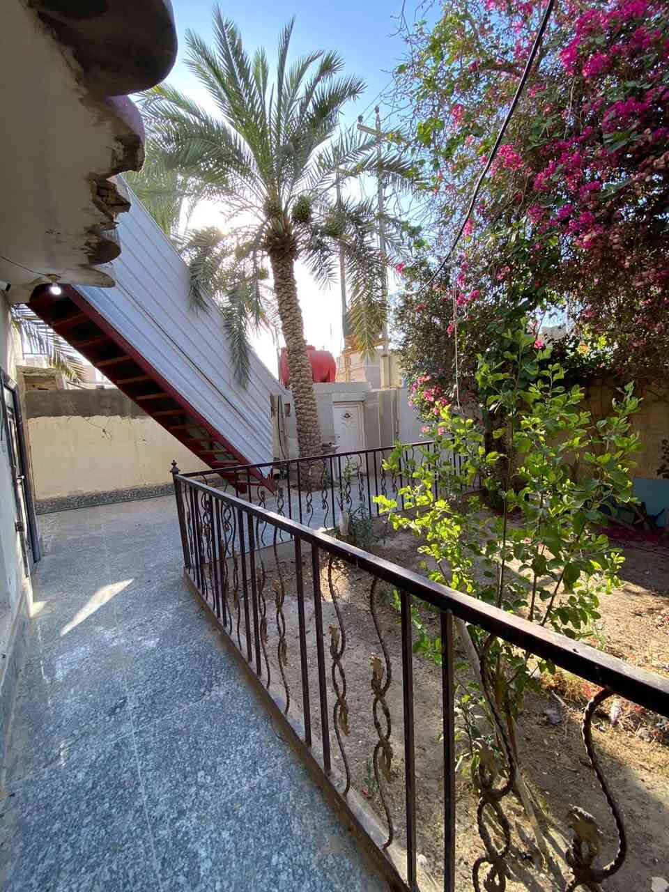 بيت للبيع في منطقه ام العصافير (حي الزهراء) التفاصيل المساحه ٣٠٠٠م طابقين الطابق الثاني مفصول بدرج خارجي خريطه مرتبه الطابق الاول غرفتين وهول وبراني ومطبخ وصحيات داخليه وخارجيه وطارمه وحديقه كبيره ومناور الطابق الثاني غرفتين ومطبخ وصحيات وهول ودرج خارجي.. السعر مناسب جدا والبيت فارغ حاليا. للاستفسار اكثر الاتصال ***********
