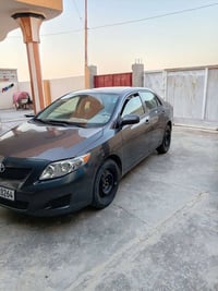 كورلا • ٢٠١٠ • رقم أربيل