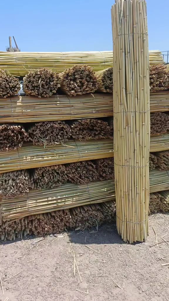 متوفر سياج قصب قياس ٣ في ٢ متر يوجد توصيل ب ٥ الف فقط داخل بغداد والاطراف
للاستفسار اكثر راسلنه خاص


**إذا كنت صاحب هذا الإعلان وتريد حذفه لأي سبب، رجاءا أرسل رسالة إلى الدعم الفني**