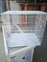 قفص • ٦٠×٦٠ • نظيف