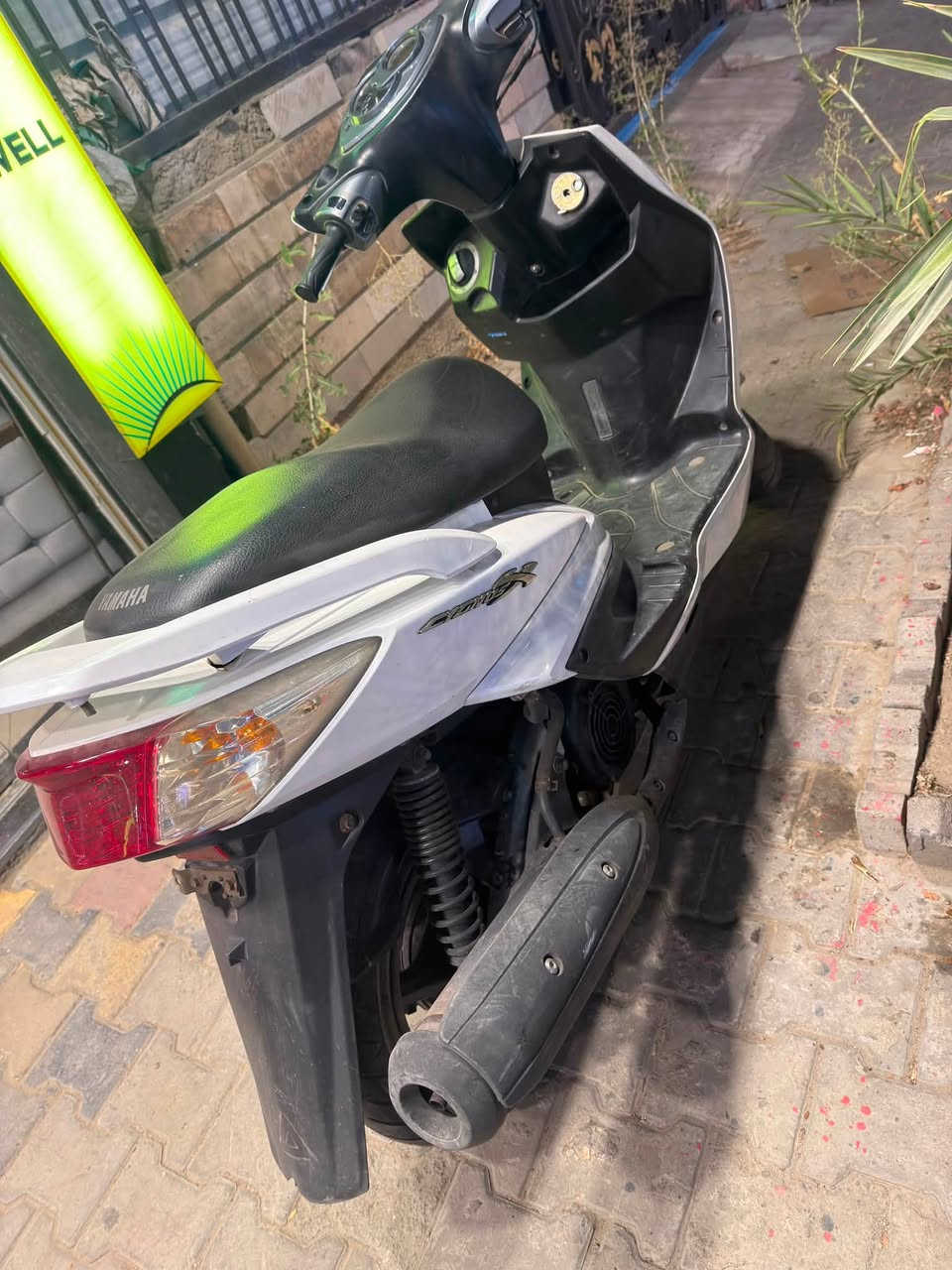 سكنس فحل للبيع ياباني نظافة 99 شرط الفحص مكاتبة الشراء موجوده قبل شهرين مكاني بغداد الاعظميه *********** الشراي يتصل ع هذا الرقم السعر 10ونص بيه مجال بسيط
