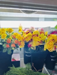 منسقة ورد • شفت مسائي • التحرير