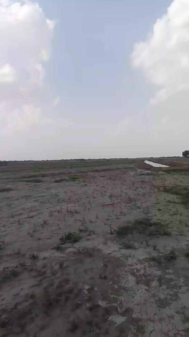 ارض مساحه 250دونم اليجار   ولبيع مالك ولملك الله  نتصال   الموقع ***********

***********
