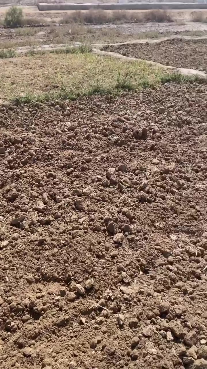 السلام عليكم
متواجد حاروثه لحراثة الارض وهذا شغلي مثل ما موضح بالفيديوهات وشغلها حسب حالة كاعك اشتغل لكل مناطق الفهود للاستفسار متوجد على الخاص او هذا رقمي ***********
