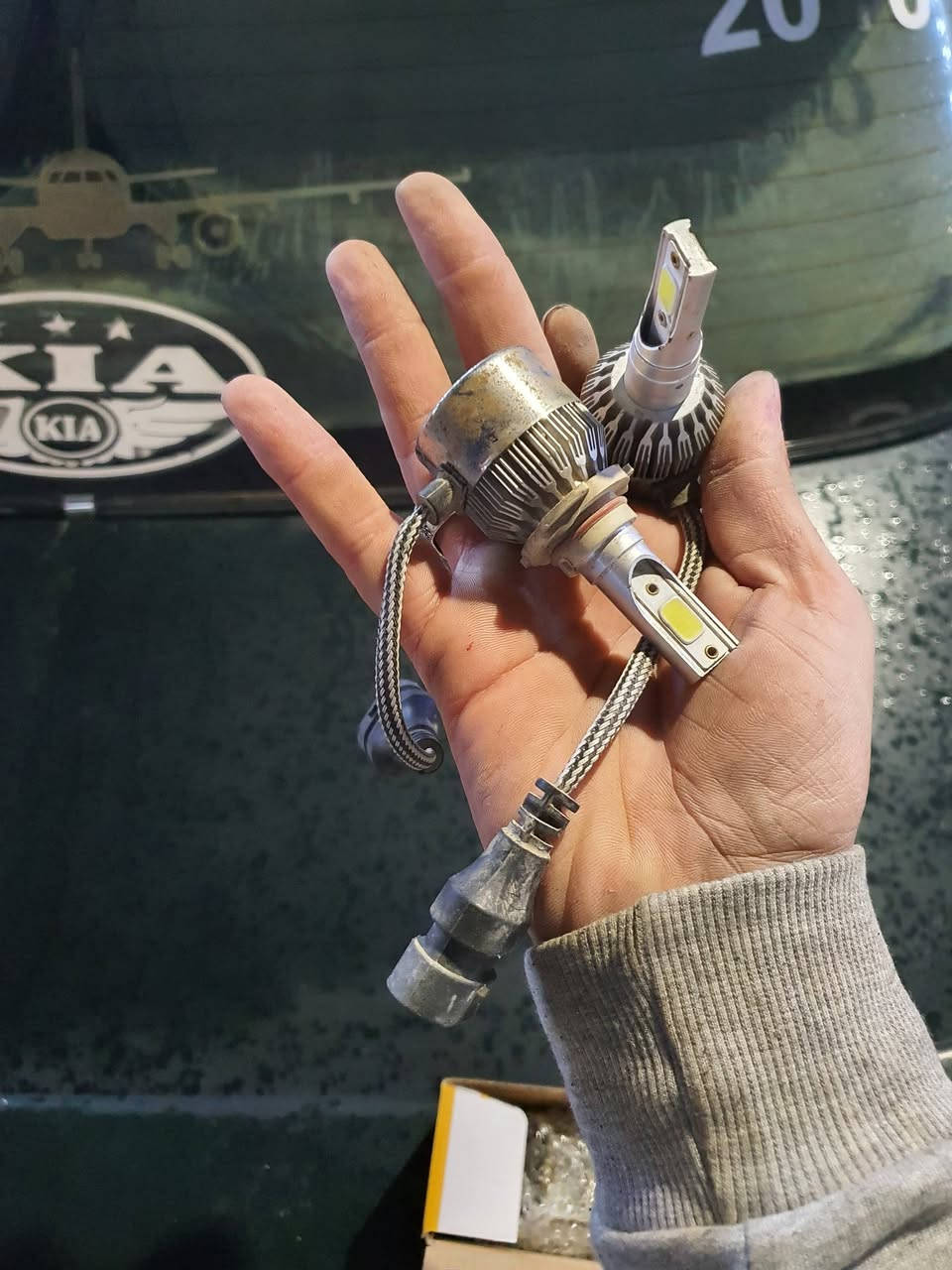 سعرهم 30الف


**إذا كنت صاحب هذا الإعلان وتريد حذفه لأي سبب، رجاءا أرسل رسالة إلى الدعم الفني**