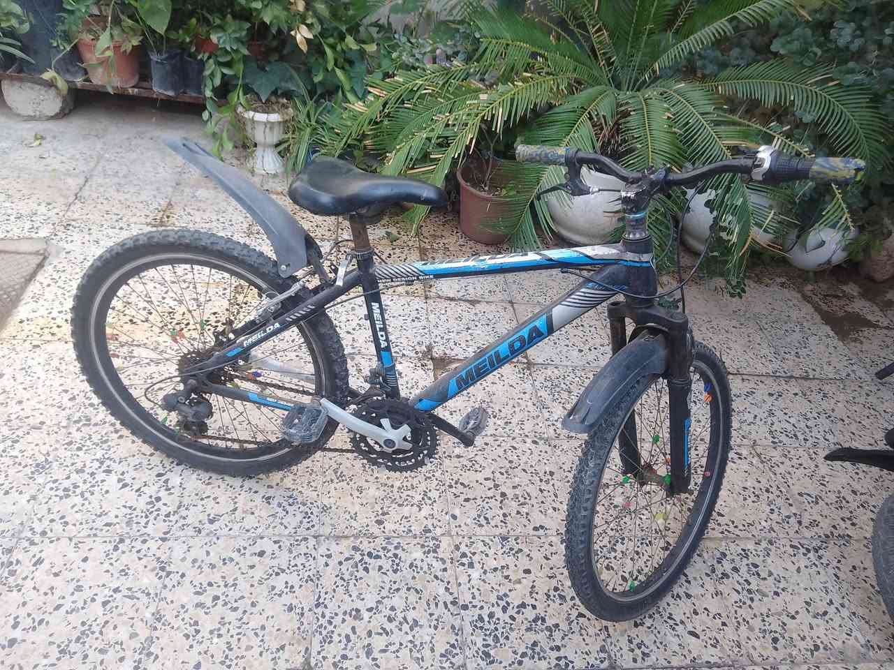 بايسكل للبيع حجم 24 كامل شرط نضيف ما بي إي عطل او صبغ السعر 50الف المكان حي صدام  المدخل الاول التواصل خاص


**إذا كنت صاحب هذا الإعلان وتريد حذفه لأي سبب، رجاءا أرسل رسالة إلى الدعم الفني**