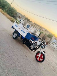 ستوته • موديل ٢٢ • مكفول