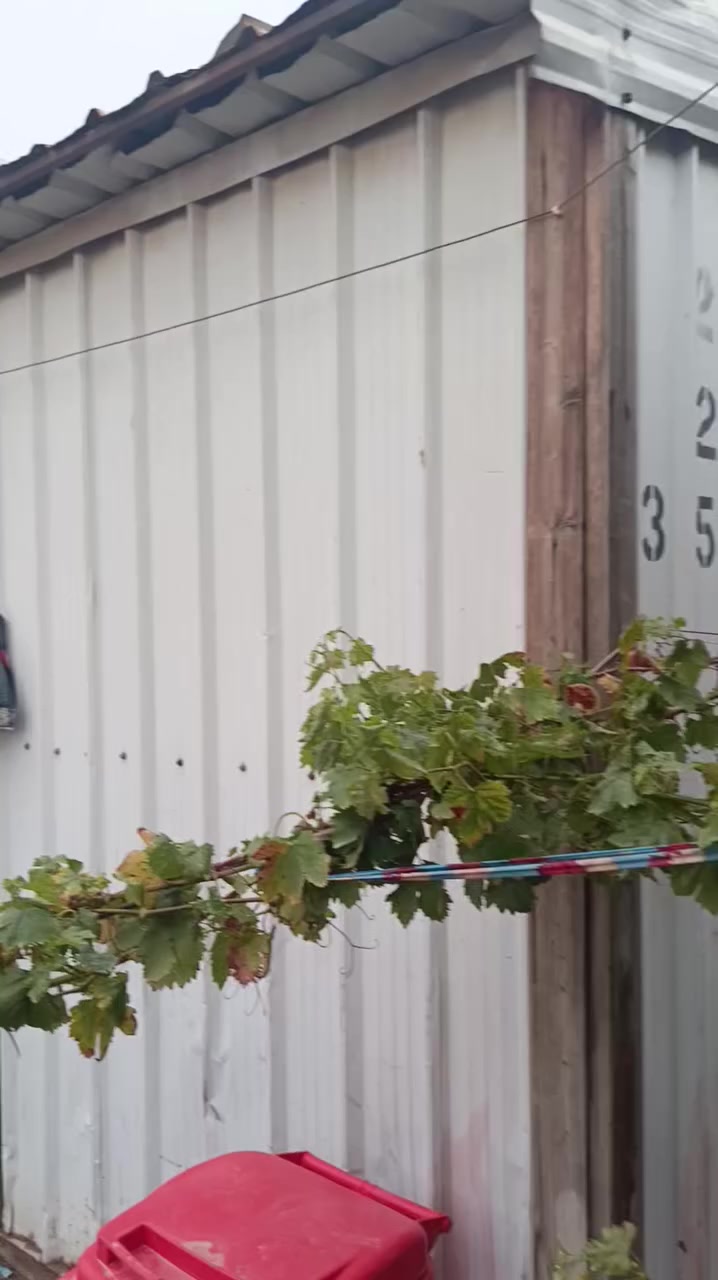 كرفان  للبيع سكراب 
 عنواني بغداد التاجي /مجمع المصابيح

***********
