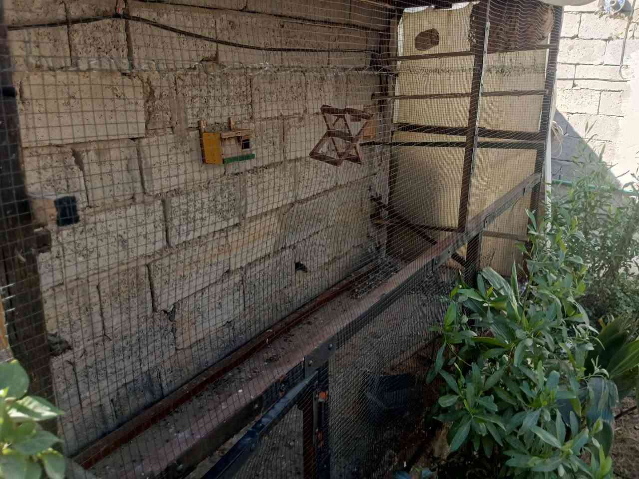 سلام عليكم محمية بلابل الارتفاع 160العرض90الطول3متر كامل مابسهه شي جديده كلش وحلوه السعر 60وبيهه مجال بصيط حك الجيه مكاني بعقوبه كاطون الرازي تواصل ***********
