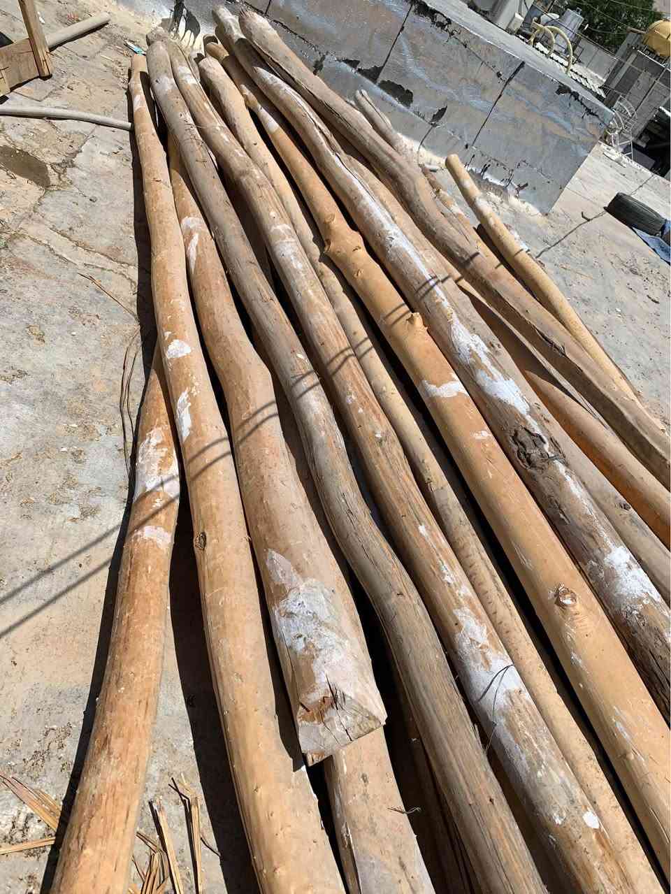 دار بو فروشتن  قياسي ٤مه ترو نيو وه كو تازه وايه هه موي ريكو جوان تقريبه ن ٥٩ دار ده بيت له گه ل ١٠ حه سيرو دوو ئنگلاين بو سعري ته له فون بو خاوه نه كه ي بكه ن ئه مه ش  ره قه مي *********** السليمانية, العراق
