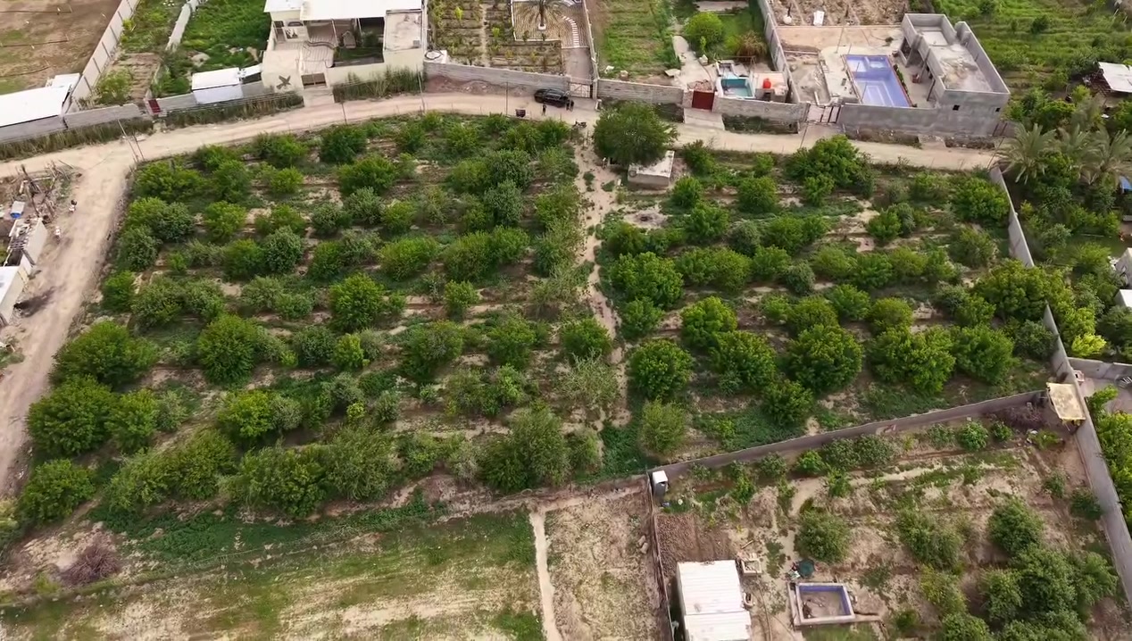 بستان للبيع
قريبة كلش وتتقسم إلى قطع اراضي
مساحتها  دونمين و150 متر 
الشارع 8 متر
الواجهة 
110
النزال 45
تحويل ثاني يوم 
انشاء تبليط عن قريب 
ماء حلو 
كهرباء وطني فوكاها
موقعها حي العباس جبج
للاستفسار الاتصال على الرقم التالي
***********
