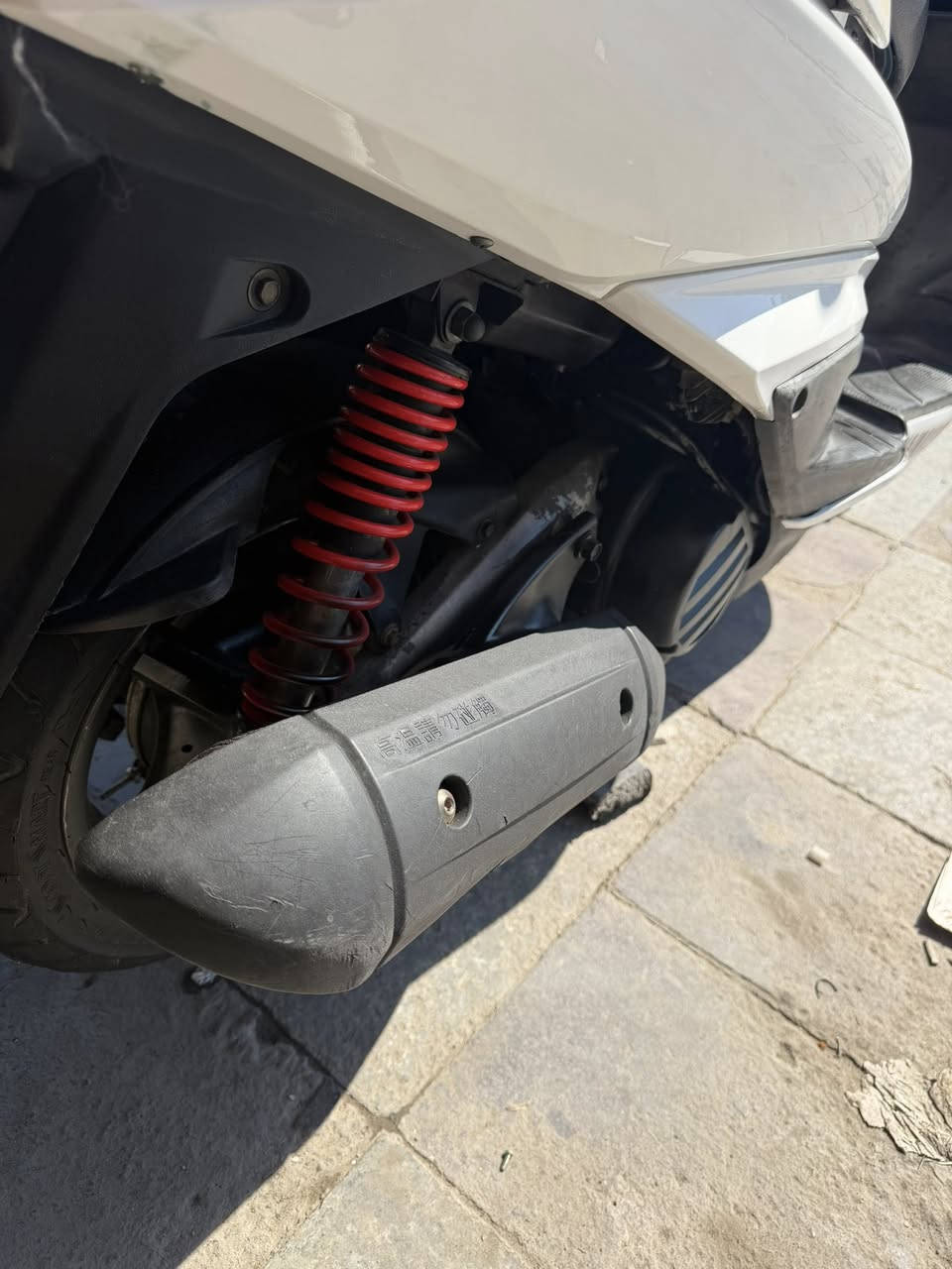 سكنس فحل جديده رمبه سعر 750  الف 
*********** بغداد الشعلة
