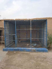 قفص جديد • ديكور منزلي