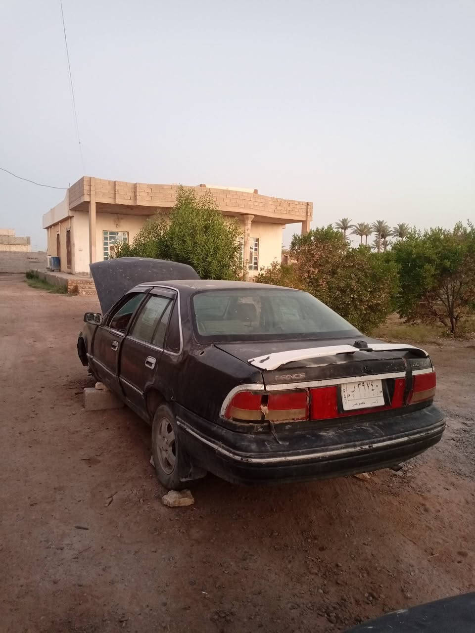 برنس للبيع يرادلها ترتيب
سعرها مناسب تحويل مباشر
***********
