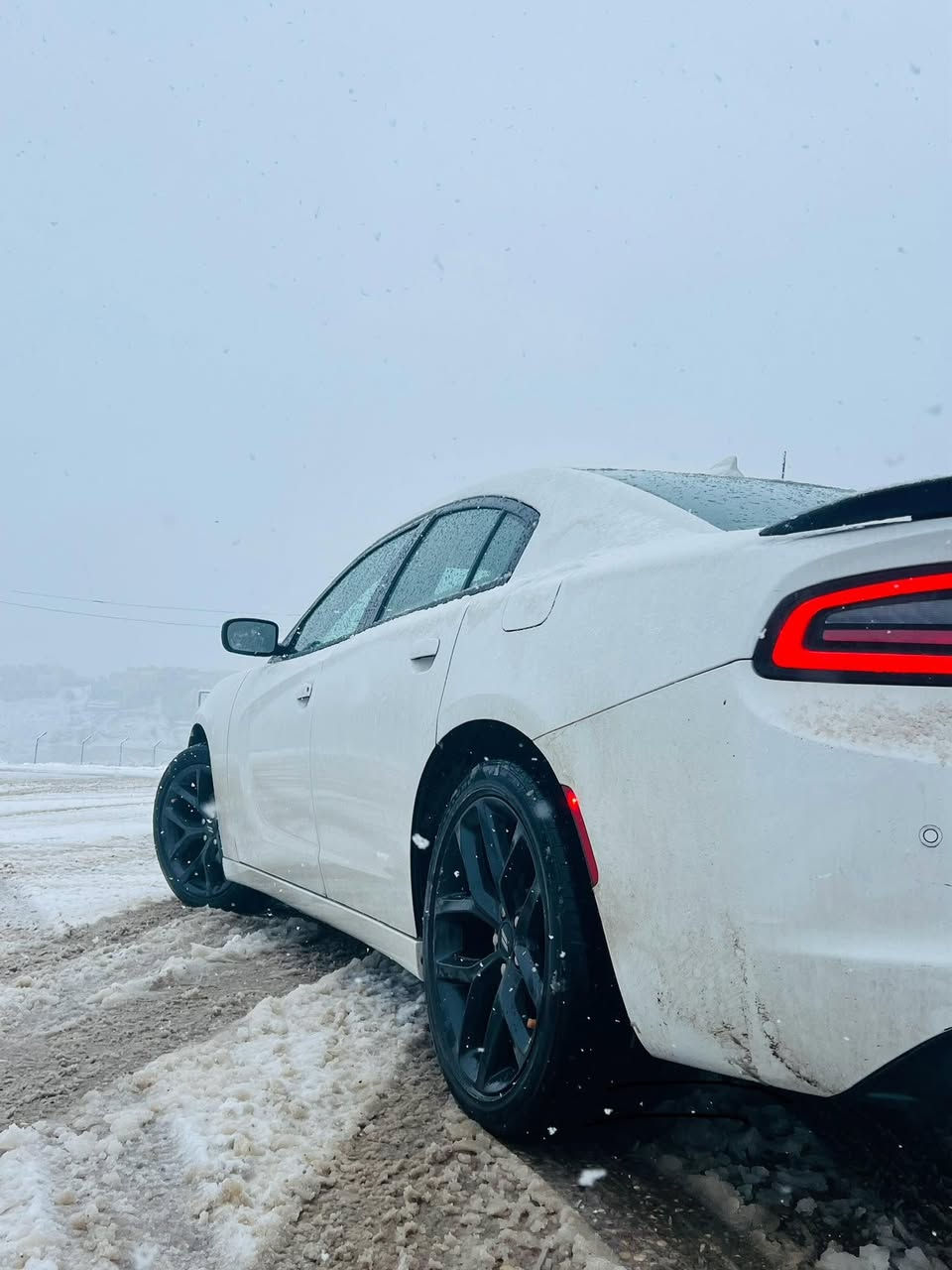 جارجر النداء الاخير 

Sxt  بلاك توب بلاك ادشن 
٢٠٢٣

 شاشة جبيرة 

حساسات 

نظام سستم صوت الباين 

اني مستوردها قبل شهر دخلت العراق  

حادث بسيط مكفوله من التبديل. والفتح.     
     تصليح درجة اولى 

لايت اصلي ودعامية اصليه وجميع الملحقات  اصليه  

صبغ شبر بلجاملغ بدون معجون كارت وشبر خشم البونيد. مبين بصور الحادث 
 رقم اربيل باسمي. ترقيم جديد والسيارة دخول جديد
***********
