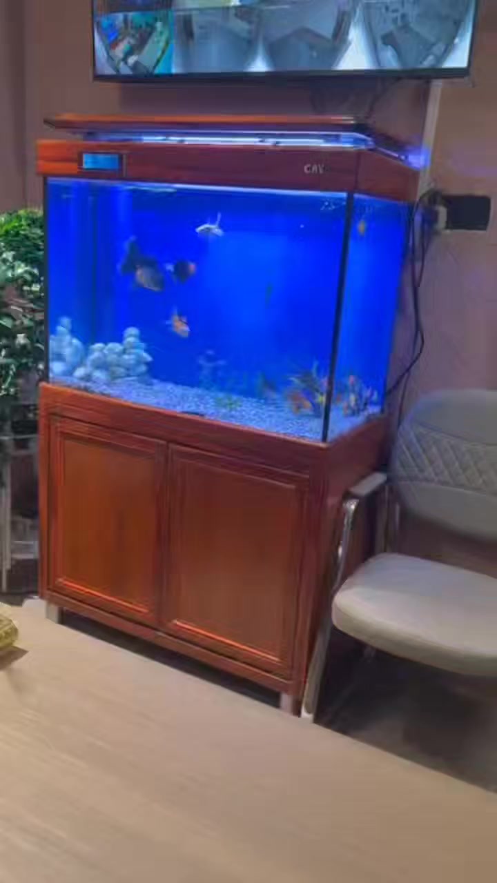 فيديو توضيحي ترتيب الحوض من الداخل 😍


**إذا كنت صاحب هذا الإعلان وتريد حذفه لأي سبب، رجاءا أرسل رسالة إلى الدعم الفني**