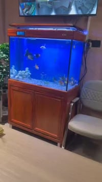 فيديو • ترتيب الحوض • ديكور