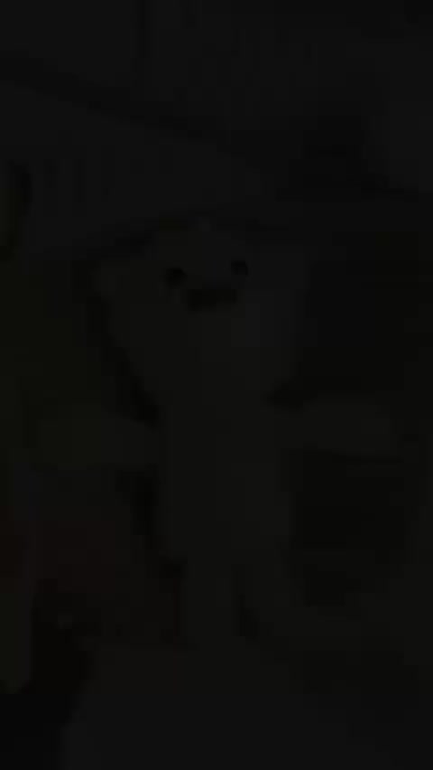 الجودة عنواننا 🇮🇶✌️

أفخم الحقائب النسائية 👜👜

حقيبة دزاين جديد لموسم 🌻2025🌻 

حقيبة نسيجية على شكل الدب اللطيف 🐻‍❄️🐻 حقيبة سحاب كتف كروس بودي منسوجة من القطف الطبيعي الناعم القطني وبالأضافة الى الدب اللطيف القطني 🤭🤭
🚘 يوجد خدمة توصيل لجميع محافظات العراق ٤ الاف 🚘


**إذا كنت صاحب هذا الإعلان وتريد حذفه لأي سبب، رجاءا أرسل رسالة إلى الدعم الفني**