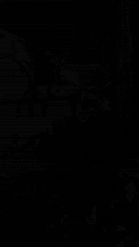 مستعدون لتفليش الدور في ديالى  ***********
