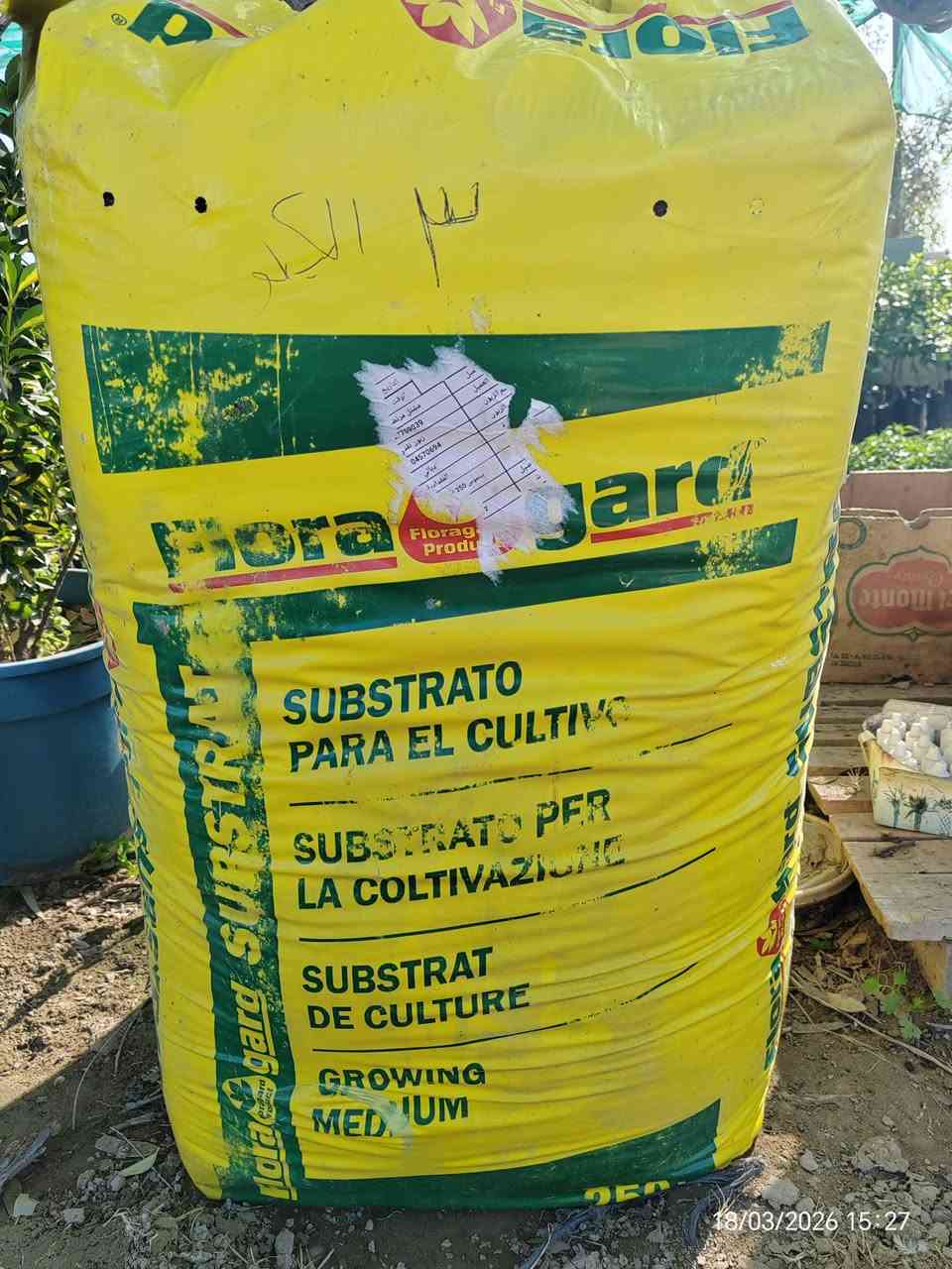 📢 وصول أفضل تربة زراعية ألمانية احترافية (فلورا غارد)  🇩🇪🌱
​لكل محبي الزراعة المنزلية والسنادين، وفرنا لكم التربة الألمانية الأصلية من شركة Floragard العالمية، وهي الخيار الأول للمزارعين المحترفين لضمان نجاح أي نبات.
​لماذا تعتبر هذه التربة الأفضل لكل نباتاتك؟
​✅ شاملة وعامة: مصممة لتناسب جميع أنواع النباتات (الخضروات، نباتات الزينة الداخلي والخارجي، والأشجار).
✅ خفيفة ومثالية: تمنع اختناق الجذور وتسمح لها بالنمو والانتشار بسرعة وبقوة.
✅ معقمة 100%: تضمن لك بيئة نظيفة خالية من الفطريات، الحشرات، وبذور الأعشاب الضارة.
✅ غنية بالأسمدة: تحتوي على خلطة مغذيات (NPK) وعناصر صغرى جاهزة لدعم النبات فور زراعته.
✅ خزان رطوبة: تحافظ على رطوبة الجذور لفترة طويلة، وهذا يقلل من حاجة النبات للسقي المتكرر في جونا الحار.
​استخداماتها الواسعة:
​إنبات جميع أنواع البذور (خضروات، فواكه، ورد).
​تجذير العقل لضمان نجاح التكاثر.
​تغيير تربة السنادين القديمة أو تكبير حجمها.
​تحسين تربة الحديقة بخلطها مع الزميج لزيادة الخصوبة والمسامية.
​💰 السعر: 3,000 دينار فقط للكيلو الواحد!
​📍 العنوان: الحساوية - مجاور ملعب الشعب.
⏰ أوقات العمل:
​صباحاً: من 9:00 إلى 12:00
​عصراً: من 3:00 إلى صلاة المغرب
​📞 للتواصل والاستفسار:
​***********
​***********
​بإدارة: محمد عماد
أهلاً وسهلاً بكم في مشتلنا.. جرب التربة الألمانية وشوف الفرق بعينك! 🌿✨
