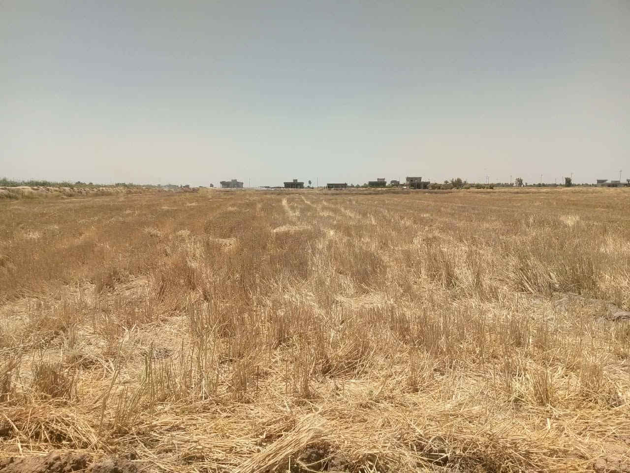 السلام عليكم ورحمة الله وبركاته.. گاع ضمان شتوي وصيفي... ماء حلو فول وبير بيها...
المكان الحيدريه... العجيليه 
رقم الهاتف ***********
 رقم الهاتف ***********
