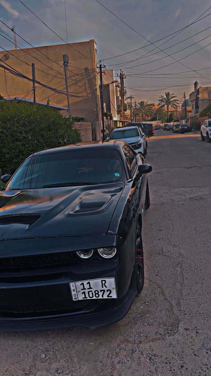سلام عليكم
جالنجر  موديل ٢٠١١ للبيع او المراوس 
مواصفات :
١- تحكم ستيرن
٢- مثبت سرع 
٣- تشغيل عن بعد 
 الاضافات :
١- كير جديد 
٢- مكينه جديده  قبل شهرين شاد مكينه مويدل ١٥
٣- تبريد منضومه جديده بالكامل 
٤- مازدات ومنضومه زنون جديده استوني شديتهم 
٥- ويل جديد قبل شهر شديته حجم الويل ١٨ 
٦- تخم تاير جديد قبل شهر شديته 
٧- بلكات رايسنك ومجاول رياضي جديد 
٨- فيتبم وعبوه كامله جديده 

الضرر : ٣ قطع 

رقم السياره باسمي حصراً  (بغداد مشروع وطني)

السعر مناسب جداً
هاتف ***********
