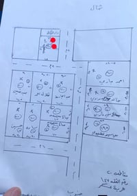 القوسيات ركن النخلة • ١٥٠م • سند جديد