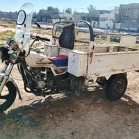 ستوته 2015 • أوراق أصلية • ناحية كنعان