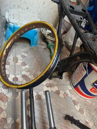 شاصي شلامجه • ذهبي • ابو الخصيب