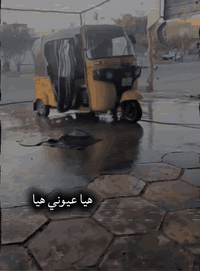 تكتك موديل 20019 مرقمة رقم وسنوية تحويل ثاني يوم تكتك خير من الله تراي...