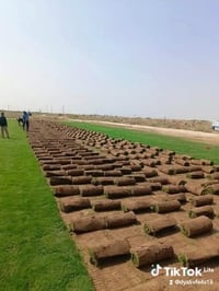 للطلب والاستفسار 07881363012