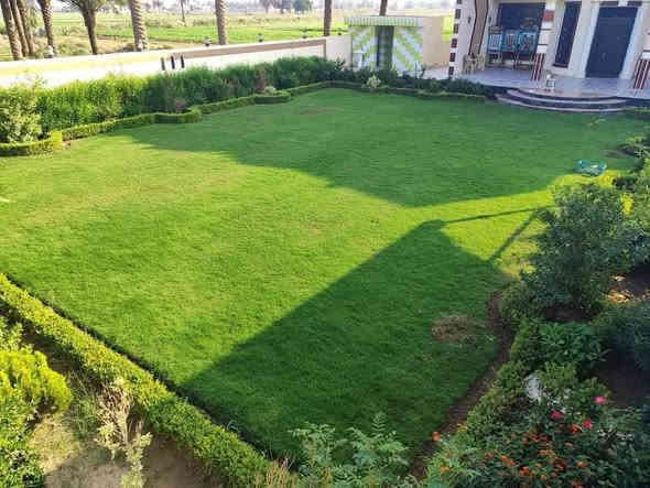 ديكورات حدائق
انشاء وتهيئة المزارع والحدائق
ديكورات حدائق حجر لاين
عمل جميع انواع ديكورات
تشييد المزارع كافة بأسعار مناسبة
***********
