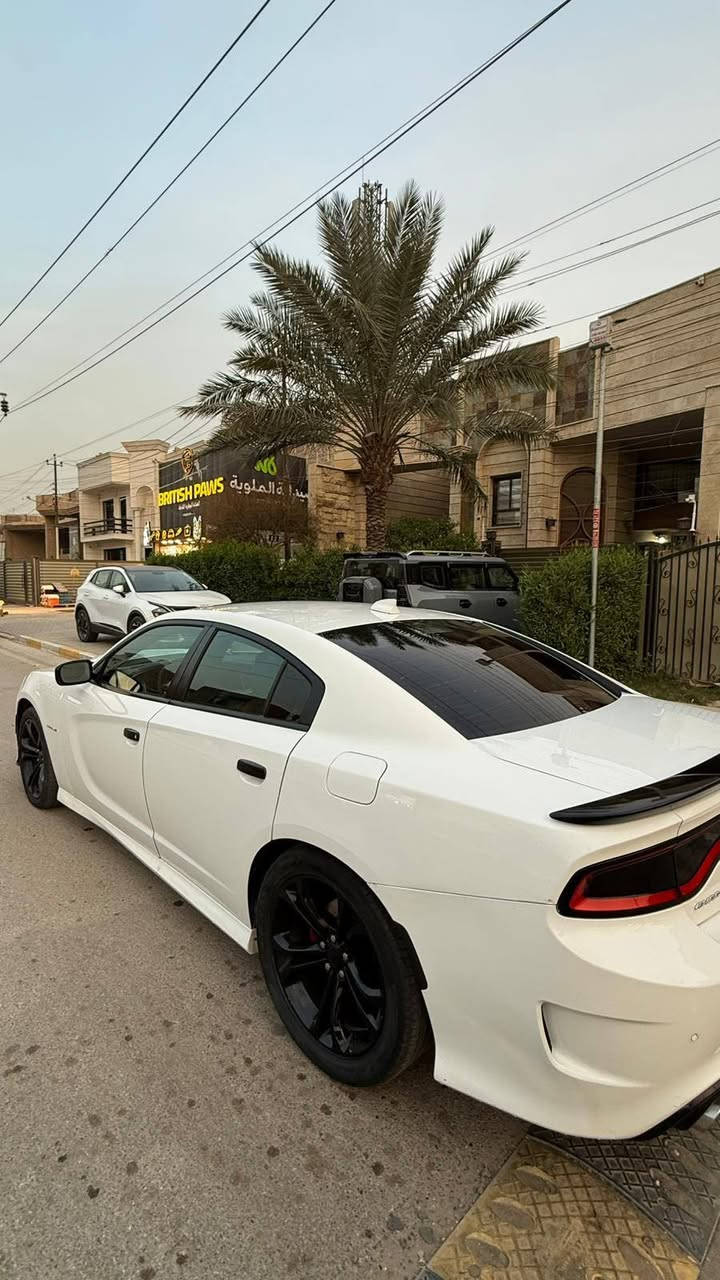 السلام عليكم...
دودج تشارجر 2021 RT. 
ماشية 128.000 كيلو. 
استخدام شخصي رقم بغداد باسم اخوية سنوية جديدة. 
محرك 5700. V8 عليها برمجة مصطفى ايكل طيارة.
مع تفريغ الدبات و اضافة كزوزات ودبات رياضية صوت رعب بشرط.
غرفة كاملة SRT.
ستيرن رياضي. مقاعد رياضية حضن. 
الكير والكهربائيات والحدادية بشرط.
قطعة وحدة مبدلة البنيد بدون صبغ ومعجون  وصور الحادث والسونار مرفقة مع الصور. 
السعر:$210 وبي مجال قليل جدأ.
مكان السيارة بغداد السيدية
للتواصل *********** بغداد, العراق
