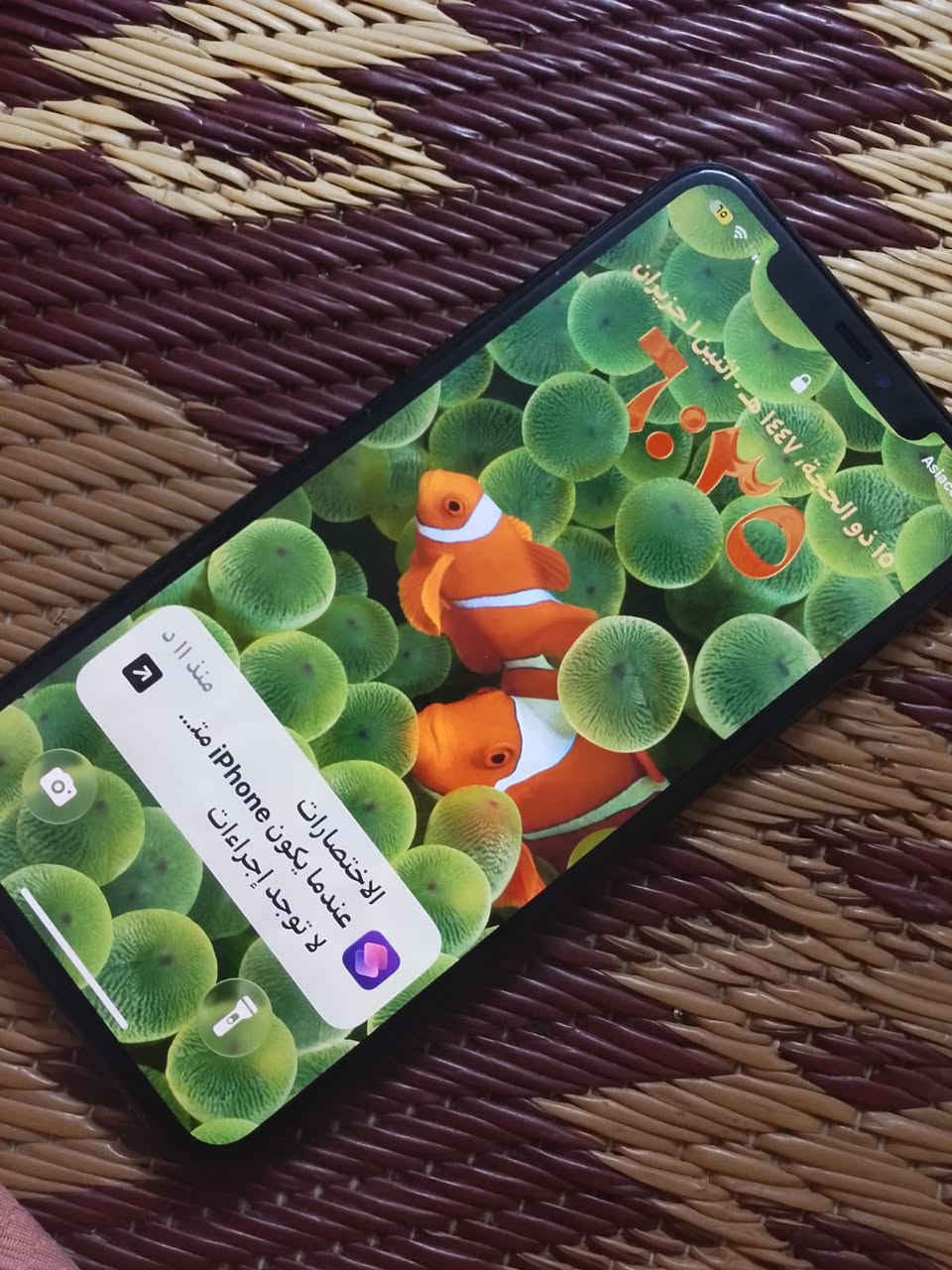يريده دخل خاص بغداد
آيفون ١١ برو ماكس مبدله شاشه خذته من شارع الربيعي ٣٥٠ ويا هدفون وشاحنته وكفر بناتي ابو الكلوس وكارته ويا ب٣٥٠ قفل ب٣٠٠


**إذا كنت صاحب هذا الإعلان وتريد حذفه لأي سبب، رجاءا أرسل رسالة إلى الدعم الفني**