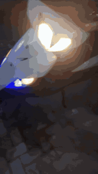 ماكس ثعلب دراجة  خير من الله نكرة سلف كهربائيات كلها شغالة  محرك كلش نضيف مابيها اي نقص فقط عداد الكيلو متر واكف سعر ٤٥٠ وبيها مجال مكاني بغداد مدينة الصدر ***********
