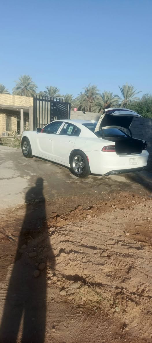 جارجر 2016  sxt رقم بغداد حادثها جاملغ امامي  مصبوغ فقط بدون لغد وشواصي وايرباكات ***********
