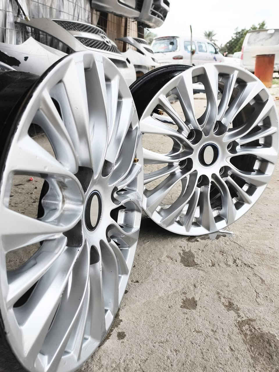 السلام عليكم ويل كروم البيع و مروس عادي مكان بابل شوملي 
‏‪***********‬‏📞
