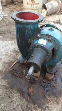 خنزيرة حجم 12 ب 12  للبيع الشراي يتصل 07766919554