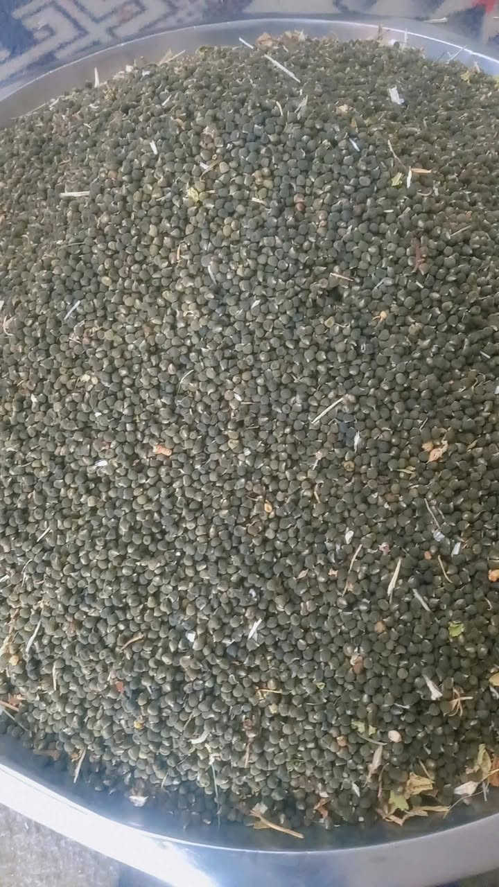 السلام عليكم 
يوجد بزر بانيه درجه اولى  
العنوان كربلاء الحسينيه 
الاستفسار ***********
@إشارة
