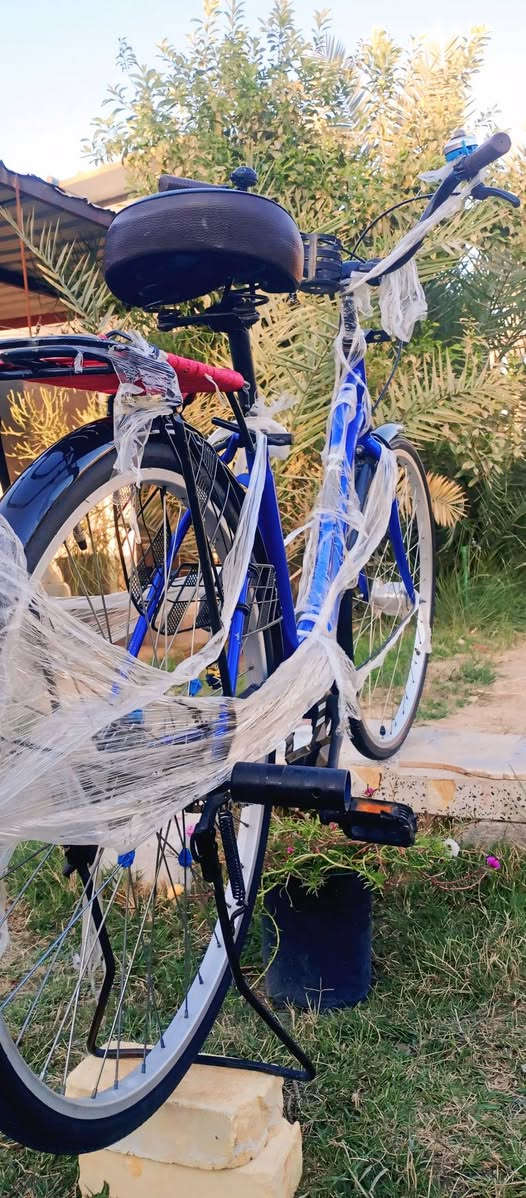 سلام عليكم باسكل للبيع ياباني جديد مامستخدم الون 💙 حجم 26 السعر 125 وبي مجال للطيبين مستعجل على بيعه التواصل على هذه الرقم *********** متواجد واتساب
