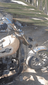 السلام عليكم ستوته ادوات عوزهه تنضيف شويه سلف شفال وهندر بالنسبه لسلف شغال بس  الباتري ميشغله لان مابيه شحن سعر ٣٠٠وبيهه مجال المكان المدينه فلكه الخاص شارع ام الشويچ الرقم ***********
