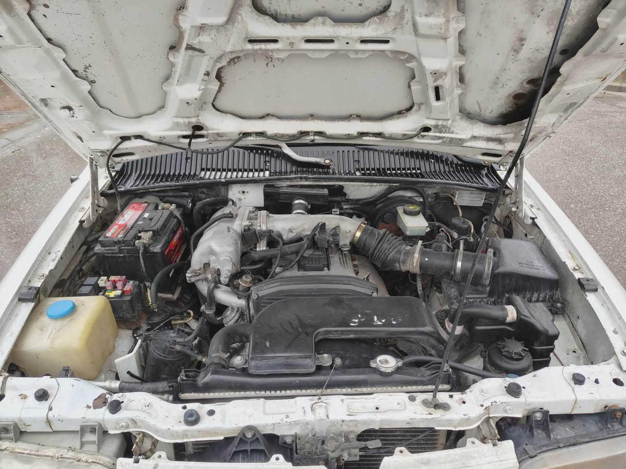 کوردی ،،،،عربي🌹
بلاش…بلاش….بلاش….

سیارە اصولیە شرط تحویل مباشر
بۆ جنوبیش دەروابەشەرتی حاسیبە

***********
***********

کیا سبورتج 2000فورویل4*4تبرید

لەسلیمانیم سیعر27وەرەقەومعامەلە  

کیاسپورتاج2000مەکینە 16بیلادمەرغوبە گیرعادی دەبل اکسل بێ دەعم  عام بۆیاخە بۆجوانی  سەنەوی بەسەرچووە بەشەرتی تەحویل کارەبای وتەبریدتەقەورەقەی بەشەرت تایەوباتری تازەیە
تەحویل ،،غەرامە ،،، براوە ،،بەشەرت

عربی***********واتس اپ
مکان 
سلیمانیەسیعرسیارە27بیمجال 
کیا سبورتج 2000محریک16بلادی کیرعادی محریک کیر مکفولات سنویە صاقطە شرط تحویل مباشر  
سیارە مابی ظربه دواخل مصبغە عام جمالیە فورويل کهرباء تبریدبشرط 
صدرحدادتایرات باتری جدید
تحویل ،،،غرمات،،،گص،،،بشرط السليمانية, العراق
