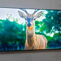 شاومي A Pro ٢٠٢٦ • ٥٥بوصة • قفل عنواني