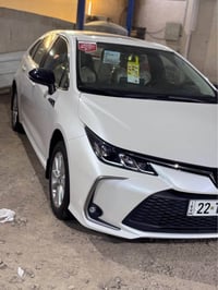 كورلا • ٢٠٢٥ • رقم اربيل