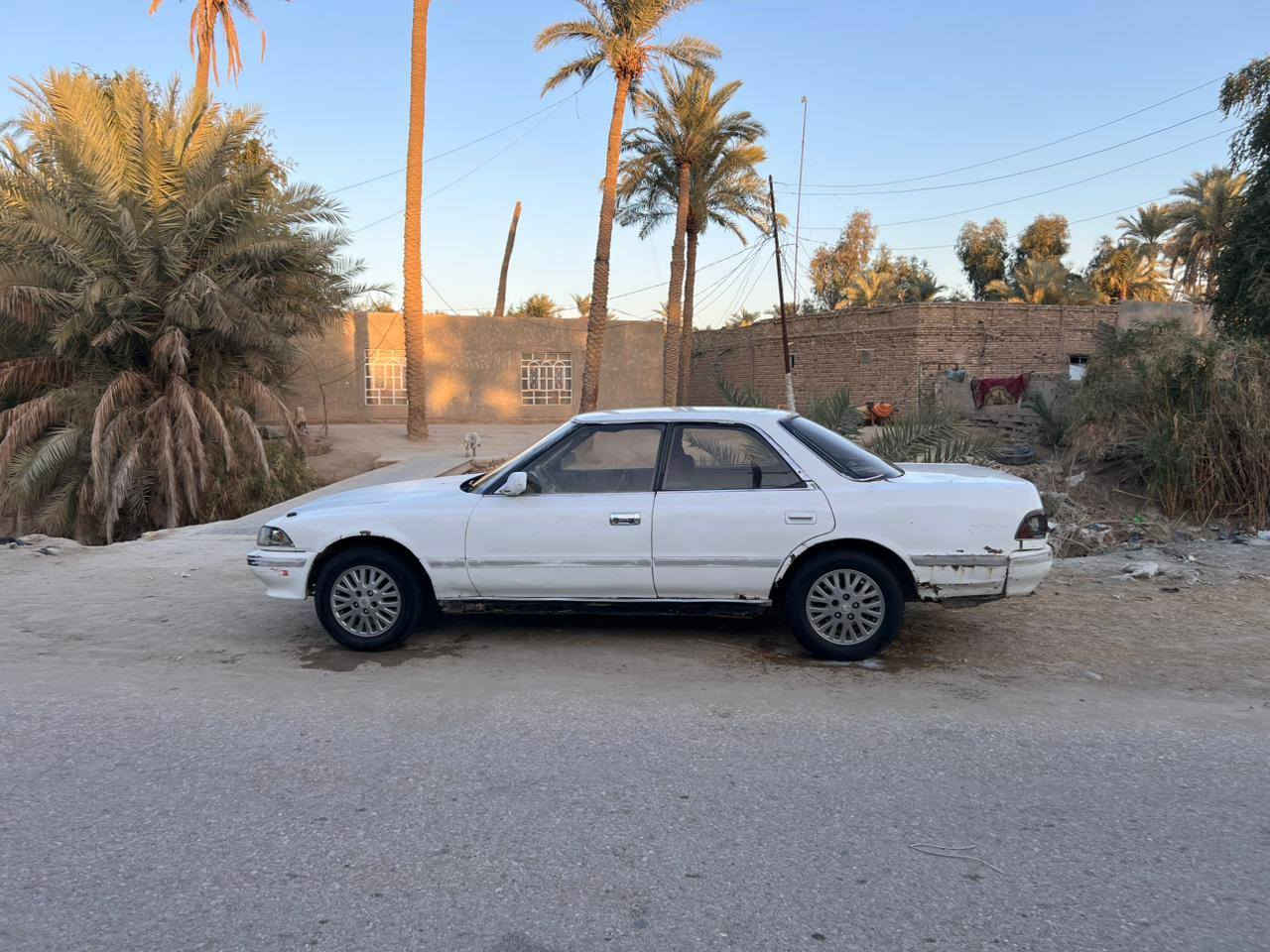 السلام عليكم مارك عضم مكفوله من الكص وضربه القويه ونقل الجثه رقم نجف بسمي مداور ثاني يوم مكينه بيهه بخار وحداديه زينه السعر 32وبيهه مجال مكان السياره نجف مشخاب ***********
