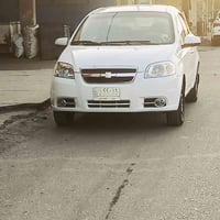 افيو • ٢٠١١ • وارد خليجي
