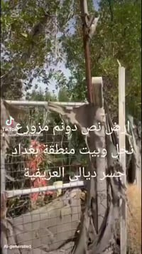 ارض نص دونم يعني مساحة ١٢٥٠م يعني الف ومتين وخمسين متر مزروعة ٩٠ نخلة ...